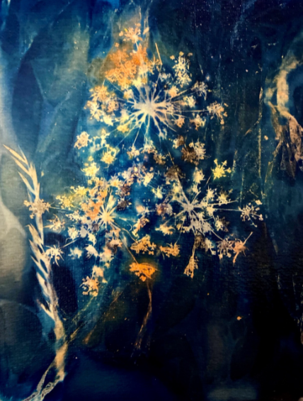 Cyanotype